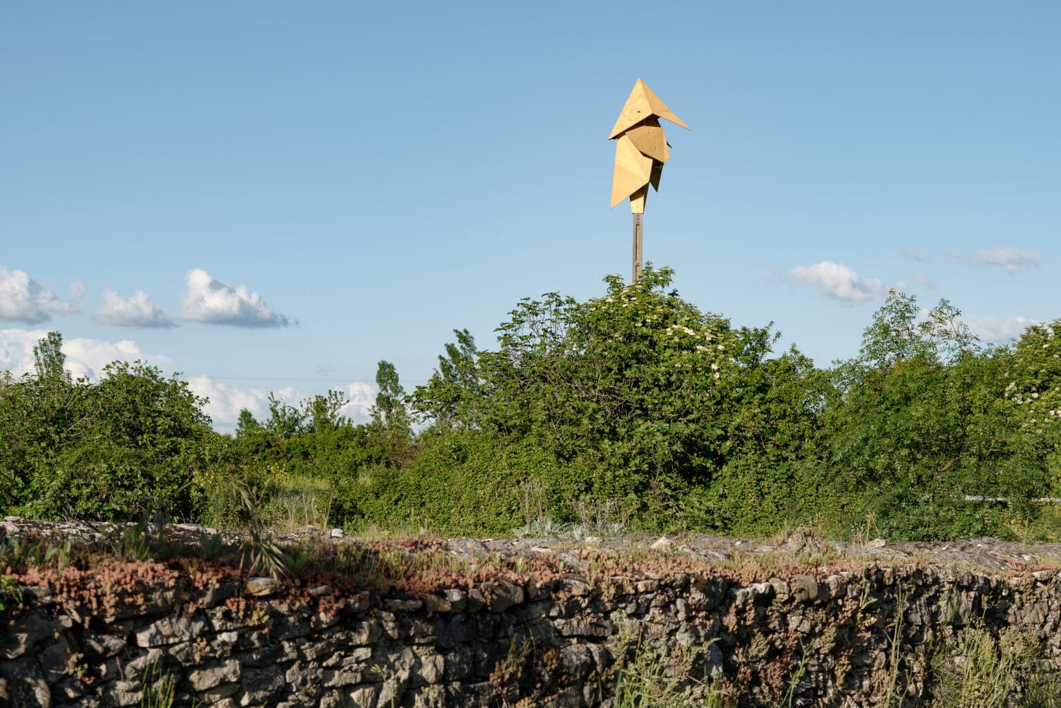 Colonia de anidado elevada